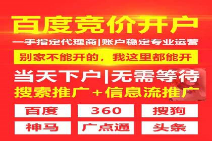 百度竞价广告投放技巧及某行业成功案例