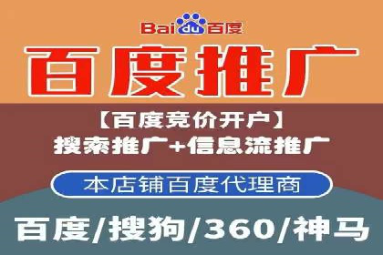 SEO百度推广策略：成功案例解析